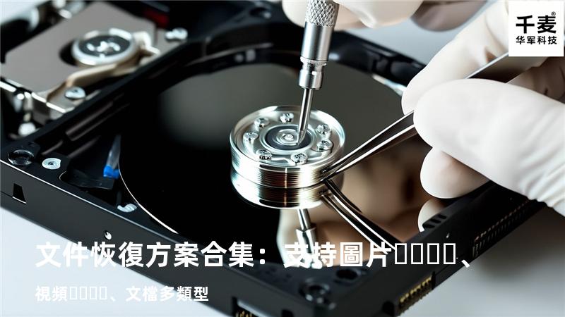 文件恢復方案合集：支持圖片、視頻、文檔多類型 